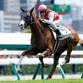 【札幌2歳S見どころ】初戦が圧巻の勝ちっぷりだったノヴァヴェローチェ