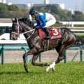 【京成杯AH見どころ】重賞勝ちの舞台でレザベーションが巻き返す