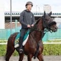 【札幌２歳Ｓ】初戦コースレコードＶのショウナンガレオン　フライトライン産駒の“大物候補”が重賞初Ｖへ
