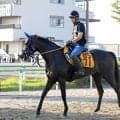 【京成杯ＡＨ・三戸の特注馬】ヴァルキリーバースは前走大敗からの巻き返しへ　好走舞台で重賞初タイトルを狙う