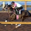 【京成杯ＡＨ・ヤマタケの特注馬】完全な差し競馬だった前走での踏ん張りを評価　レザベーションが得意の中山で踏ん張る