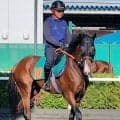 【札幌２歳Ｓ・坂本の特注馬】“２強”に割って入りそうな伏兵候補デザートスピリット　センスの良さに注目