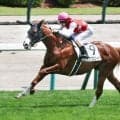 【札幌２歳Ｓ・水納の特注馬】エフフォーリア産駒ノヴァヴェローチェに期待　陣営「持ってるものはすごくいい」