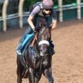 【サマーチャンピオン】重賞連勝中のマテンロウコマンドは２枠２番　連覇がかかるヤマニンニチェルキは３枠３番　枠順確定
