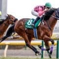 【先週のJRA抹消馬】23年共同通信杯覇者ファントムシーフ、22年の朝日杯FS2着馬ダノンタッチダウンなど