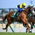 【セントウルS想定騎手】ダイヤモンドノットは川田将雅騎手、フリッカージャブは松山弘平騎手