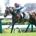 【京成杯AH想定騎手】フォルテアンジェロはD.レーン騎手、レザベーションは原優介騎手