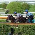 追い切りで素晴らしい切れ味 レーヴドヒロインが土曜阪神で初陣/関西馬メイクデビュー情報