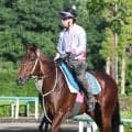 【京成杯ＡＨ】ファンダムがサマーマイルシリーズ逆転優勝へ　辻師「しまいの脚につなげる方が良さそう」