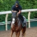 【セントウルＳ】未勝利以来のスプリント戦に挑むダイヤモンドノット　福永調教師「内容次第でスプリンターズＳが選択肢に」