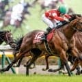 【AI予想・セントウルS】近況の勢いか古豪の復活か!? 大注目のGI前哨戦で人工知能が高く評価した3頭とは