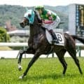 絶好調の「シスキン×ダイワメジャー」 中京2歳Sを制したジーティーマイカの血統背景