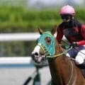 【不来方賞】ホリエモン愛馬イッテラッシャイは2枠2番…ダート三冠前哨戦に11頭