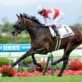 【札幌2歳S展望】素質馬ショウナンガレオンが重賞制覇へ