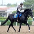 七夕賞で重賞初制覇のアスクナイスショーは全治９か月以上　右前浅屈腱炎が判明　ＪＲＡが発表