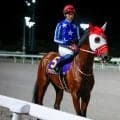 【盛岡・不来方賞】ジャパンダートクラシックのトライアル 秋初戦を制して飛躍につなげる馬は