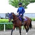 【注目馬動向】芝重賞５勝馬がダート初挑戦へ　レーベンスティールの次走は１０月の南部杯へ　キャロットクラブ発表