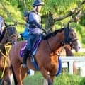 【セントウルＳ】武豊騎手と挑む唯一のＧ１馬ママコチャは上昇一途　池江調教師「暑い時期なので状態がドンドン…」