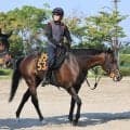 【京成杯ＡＨ】初のマイルで始動するフォルテアンジェロに上原佑師「スタートさえ決まれば」　中間は重点的にゲートへ