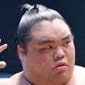 幕内・藤凌駕、右手親指の負傷で夏巡業離脱も「そんなにひどくはない」　秋場所の出場に支障はない見込み