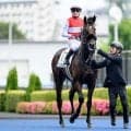 【札幌2歳S予想オッズ】ショウナンガレオンが予想1番人気