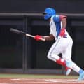 【日本ハム】カストロのタイムリーで勝利　貯金今季最多15　山崎福也７回１失点　今川優馬４号