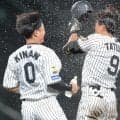 阪神　平田２軍監督が甲子園で劇的サヨナラ打の立石を称賛「執念だ。一番調子が良い証拠」直近５試合打率・５４５と好調【一問一答】