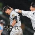阪神・立石　延長十回プロ初サヨナラ打　聖地で躍動３安打　直近５試合は２２打数１２安打、打率・５４５