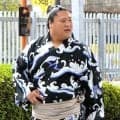 若隆景「あとは戻るだけ」　「コンパートメント症候群」で緊急手術の左脚「しっかり治して頑張ります」　秋場所も全休予定