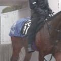【注目馬動向】友道厩舎の素質馬が帰ってきた！ラヴェニューが１０月の京都で再出発　ロブチェン出走の共同通信杯で１番人気