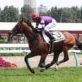 【注目馬動向】武豊騎手とのコンビで新馬快勝のヴァンクライは萩Ｓを視野