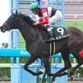 【ローズＳ・１週前】超新星モンローウォークが豪快デモ！「やり過ぎないように」馬なりでもラスト１１秒３で３馬身先着