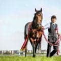 【セントライト記念想定】ゴーイントゥスカイ、サノノグレーターなど11頭