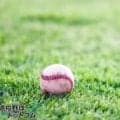東都2部リーグのベストナイン経験者も！大学生2人が新たに提出【26年・大学生プロ志望届提出者リスト】