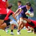 明治大学、菅平で見えた収穫と課題。関西勢に連勝も帝京大学に「馬力負け」