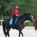 【注目馬動向】マーキュリーＣ２着のムルソーはみやこＳで重賞２勝目を狙う　ショウナンラプンタは京都大賞典へ