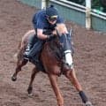 【セントウルＳ】ダイヤモンドノットはまっすぐ登坂　未勝利以来のスプリント戦も陣営「やるごとにパンプアップして…」