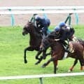 【札幌２歳Ｓ】フライトライン産駒の“大物候補”ショウナンガレオン　最終追い切りでも脚力の違い発揮　唯一の不安要素は…