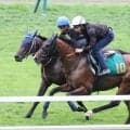【札幌２歳Ｓ】デザートスピリットは中１週でも出来落ちなし　余裕のある動きに平岩調教師「いい意味で平行線で」
