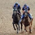 【紫苑Ｓ】秋華賞への切符取りへアストリルは鋭い伸び脚を披露　鈴木慎調教師「もう一段階、馬として成長している」