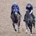 【京成杯ＡＨ】ディールメーカーは力強く伸びて追走先着　大和田調教師「現状の力は出せる仕上がり」