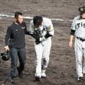 死球が目立つ今季のプロ野球　セ・リーグ最多は阪神の58個、パ・リーグはソフトバンクの50個