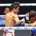 石井武志　６５秒ＫＯ！日本選手世界戦最速戴冠　悲願達成に涙「今日死んでもいいと思ってリングに」大橋ジム６人目の世界王者誕生