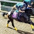 【紫苑Ｓ】前走喉鳴りのリアライズルミナス　橋口調教師「息遣いも良くなって改善」　初重賞タイトルへ世代上位の力を証明