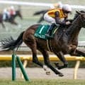 【紫苑S展望】秋華賞へ向けた重要な一戦、オークス2着馬ドリームコアが中心