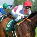 【セントウルS】平坦巧者のピューロマジック 天敵の急坂克服で重賞6勝目なるか