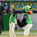 【ヤクルト】池山監督「お疲れ様」引退石川雅規ねぎらう「力になれずごめんね」会見後に伝える