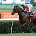【香港競馬】カーインライジング、左後肢の蹄に打撲…9月6日のG3出走前に再検査
