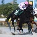 【佐賀・サマーチャンピオン】晩夏の佐賀競馬を飾る一戦 秋の大舞台に駒を進める馬は