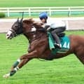 【セントウルS展望】充実の4歳世代からカルプスペルシュが波乱を呼ぶ【札幌２歳Ｓ】有力馬ノヴァヴェローチェが回避　左後肢ハ行が判明　上村調教師「軽いものであってほしい」